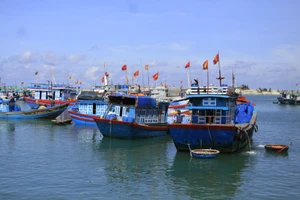 Tàu cá neo đậu cảng Lý Sơn