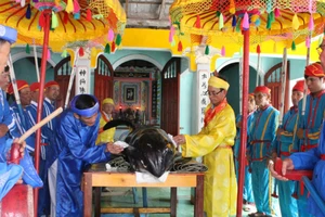 Nghi lễ an táng cá voi tại xã Bình Thuận