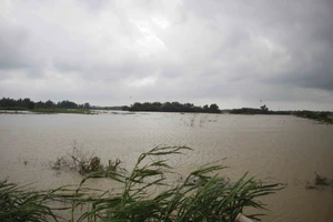 Mưa lũ gây thiệt hại trên 200 tỷ đồng, Quảng Ngãi kiến nghị khắc phục sau mưa lũ