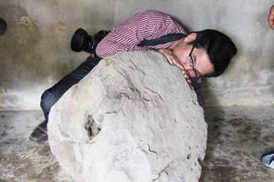 Quảng Ngãi: Phát hiện Tù Và bằng đá, nặng 200kg trên thảo nguyên