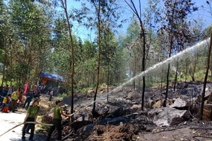 Quảng Ngãi: Diễn tập xử lý các tình huống cháy rừng