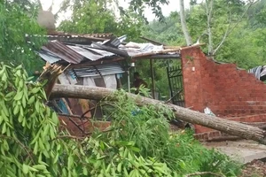  Mưa lốc khiến cây cối ngã đổ sập tường nhà dân, tốc mái tôn ở xã Sơn Trung, huyện Sơn Hà.