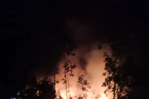 Trắng đêm khống chế vụ cháy rừng ở Đức Phổ, Quảng Ngãi