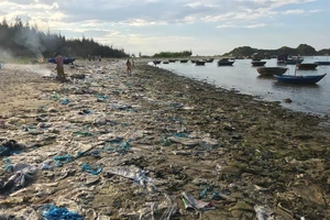 Chỉ 7 ngày, 140 người dân dọn sạch rác bãi biển Sa Cần