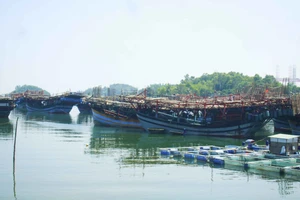 Quảng Ngãi: Ngư dân rơi xuống biển mất tích