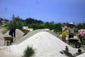 Nhiều ý kiến xử lý đất thải từ hoạt động sản xuất nông nghiệp ở đảo Lý Sơn