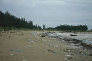 Củi, rác thải phủ khắp hạ lưu sông Trà Bồng sau mưa lũ