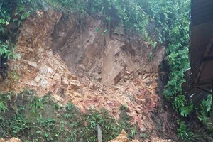 Quảng Ngãi: Núi sạt lở đổ xuống nhà dân ở Sơn Hà