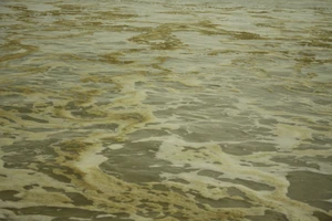 Quảng Ngãi: Nước biển vàng nâu, nổi bọt màu lan rộng đến làng biển Hải Ninh