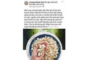 Quảng Ngãi đề nghị Bộ Công an truy tìm tài khoản Facebook tung tin tỏi Lý Sơn nhiễm thuốc trừ sâu