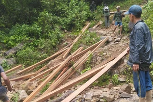 Quảng Ngãi: Đưa gỗ khai thác trái phép ra khỏi rừng,truy xuất camera xác minh 6 đối tượng liên quan