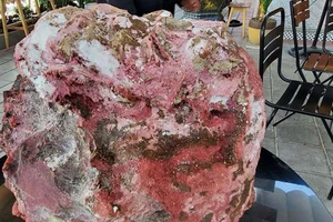  Một ngư dân tìm được khối đá lạ nặng 14kg nghi long diên hương