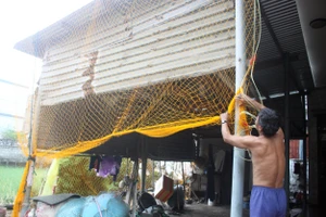 Quảng Ngãi: Giăng lưới, cột dây chằng chống nhà cửa ứng phó bão số 10