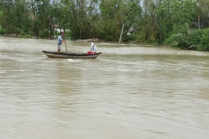 Quảng Ngãi: Lũ đang lên trên sông Trà Câu, khẩn cấp di dời dân