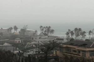 Quảng Ngãi; Huyện Lý Sơn xuất gạo cấp người dân đảo Bé ứng phó bão