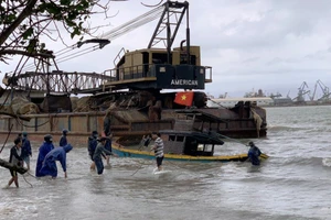 Quảng Ngãi: Sà lan trôi dạt khiến 8 tàu cá đang neo đậu hư hỏng