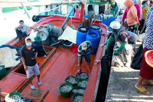 Quảng Ngãi vừa chống dịch vừa đảm bảo xuất nhập hải sản cảng cá