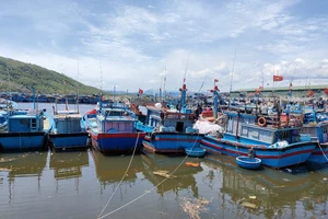 Quảng Ngãi cho phép cảng cá nhà nước hoạt động giải quyết tồn đọng hải sản