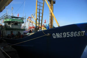 Quảng Ngãi: Cảng cá mở cửa giải quyết toàn bộ hải sản cho tàu đi đánh bắt trở về