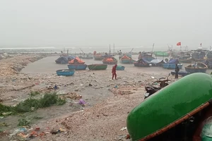 Quảng Ngãi cấm tất cả tàu thuyền và vận tải hành khách ra biển từ 11 giờ ngày 23-9 ứng phó áp thấp nhiệt đới