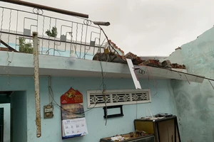 Quảng Ngãi: Lốc xoáy làm nhà dân ven biển bị tốc mái, ngã đổ cây
