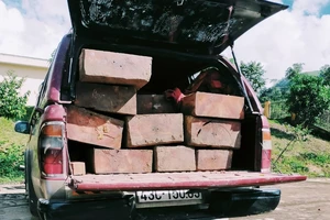 Quảng Ngãi: Phát hiện xe chở gỗ trái phép