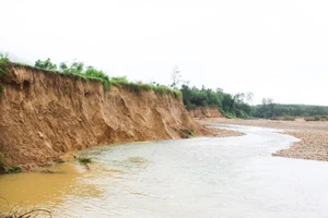 Quảng Ngãi: Nghiêm trọng sạt lở bờ sông Trà Bồng hình thành vực sâu nguy hiểm