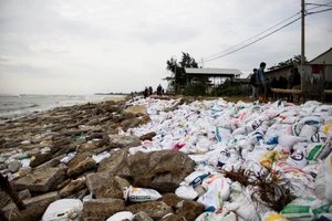Quảng Ngãi: Xâm thực gây sạt lở đường ven biển, đe dọa nhà dân