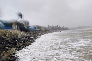 Huyện đảo Lý Sơn (Quảng Ngãi) thiệt hại ước 3,8 tỷ đồng do bão số 9