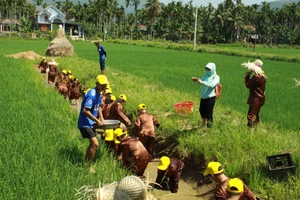 Quảng Ngãi: Kỳ vọng làng du lịch cộng đồng Bình Thành