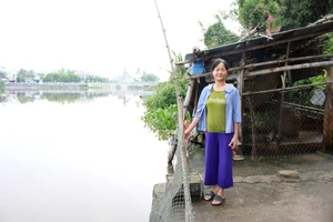 Quảng Ngãi: Nguy cơ sạt lở bờ sông Hưng Nhơn