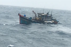 Tàu cá Quảng Ngãi bị hỏng máy, thả trôi trên biển