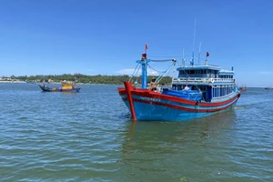 Xác minh vụ tàu cá Quảng Ngãi bị ca nô nước ngoài bắn trọng thương