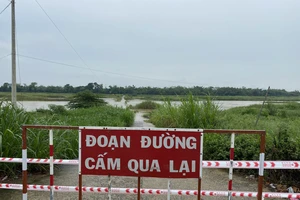 Quảng Ngãi: Nước lớn sông Trà Khúc, 350 hộ dân giữa dòng sông bị cô lập