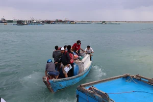 Quảng Ngãi: Khẩn cấp đưa 4 bệnh nhân từ đảo Lý Sơn vào đất liền cấp cứu khi biển động