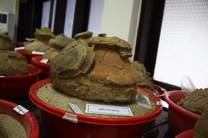 Những phát hiện mới về mộ chum ở hồ Nước Trong trong văn hóa Sa Huỳnh Quảng Ngãi