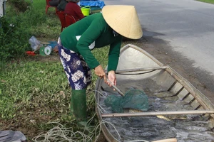 Quảng Ngãi: Độc đáo đưa ghe ra đường lộ bán cá đầu xuân
