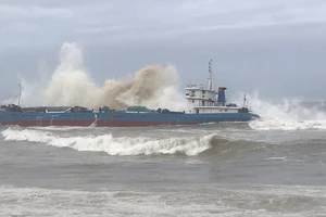 Tàu chở 11 thuyền viên, 2.700 tấn gạo bị thủng đáy trôi dạt vào bờ biển Quảng Ngãi