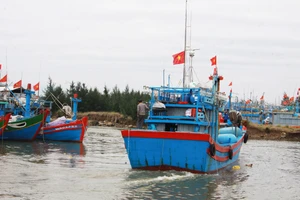Quảng Ngãi: Cửa biển tưng bừng ra quân đánh bắt cá đầu năm