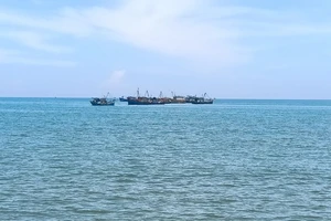 Quảng Ngãi: Một ngư dân tử vong trên biển