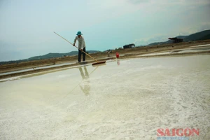 Du lịch cộng đồng, giải pháp nâng cao giá trị nghề muối Sa Huỳnh