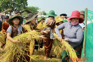 Lễ hội Ngày mùa trên quê hương cố Thủ tướng Phạm Văn Đồng