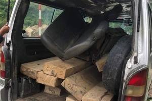 Quảng Ngãi: Cải tạo xe ô tô để chở gỗ lậu