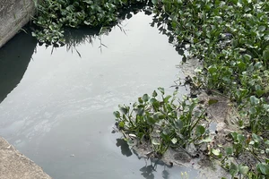 Quảng Ngãi: Gần 15 tỷ cải tạo hồ điều hòa Nghĩa Chánh xử lý ô nhiễm môi trường