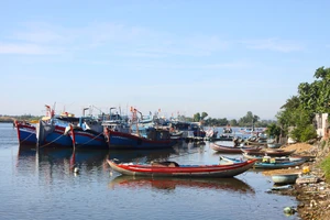 Quảng Ngãi: Kiến nghị dùng 55 tỷ đồng chuyển đổi nghề cho ngư dân