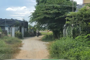 Quảng Ngãi: Hơn 100 hộ dân sống khốn khổ trong vùng quy hoạch treo