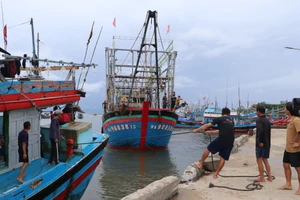 Quảng Ngãi: Tàu thuyền vào nơi neo đậu tránh trú áp thấp nhiệt đới