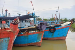 Quảng Ngãi: Phạt chủ tàu cá hơn 853 triệu đồng vi phạm lĩnh vực thủy sản