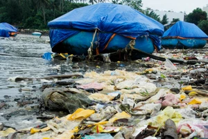 Quảng Ngãi: Mưa lớn, rác tràn ngập bãi biển