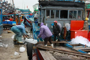 Quảng Ngãi: Tháo gỡ khó khăn cho hơn 700 tàu cá nằm bờ do không đăng ký, đăng kiểm